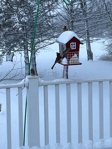 12520 440th Street, Wanamingo, MN 55983