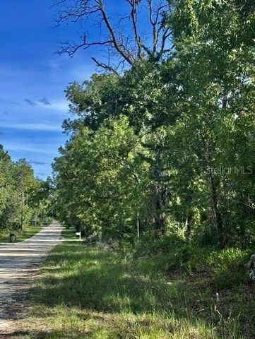 MACEK ROAD, Weeki Wachee, FL 34614