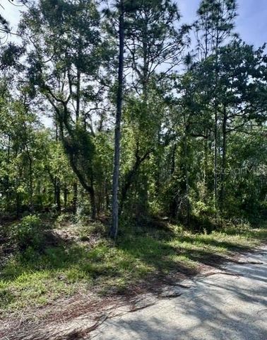 MACEK ROAD, Weeki Wachee, FL 34614