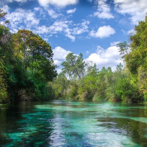 MACEK ROAD, Weeki Wachee, FL 34614