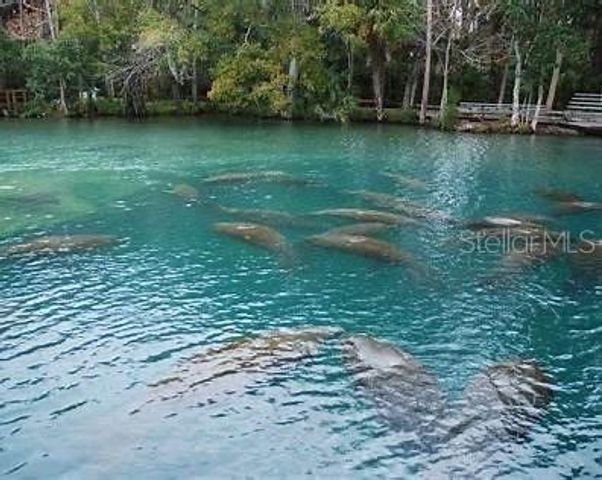 MACEK ROAD, Weeki Wachee, FL 34614