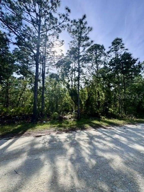 MACEK ROAD, Weeki Wachee, FL 34614