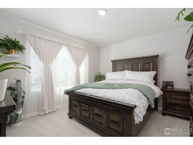 630 Apache Trl B2, Ault, CO 80610