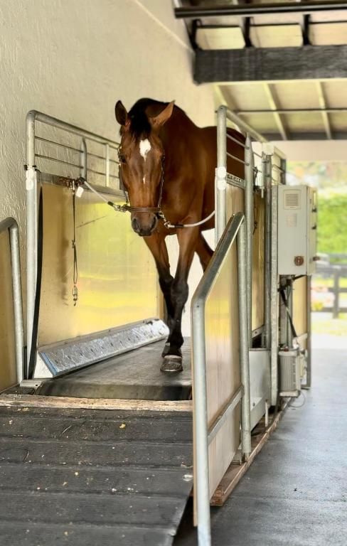 Image 12 of property listing at 13205 Southfields Road, Wellington, FL 33414