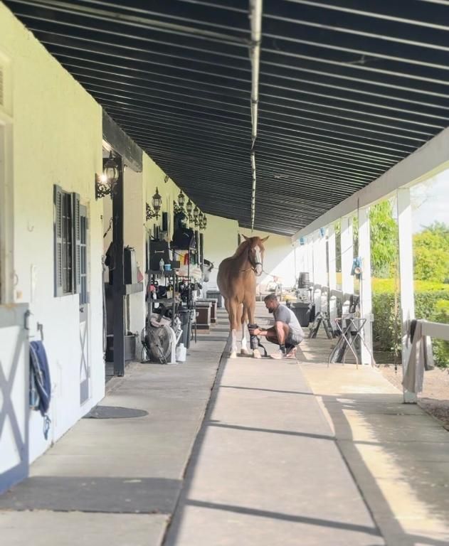 Image 35 of property listing at 13205 Southfields Road, Wellington, FL 33414