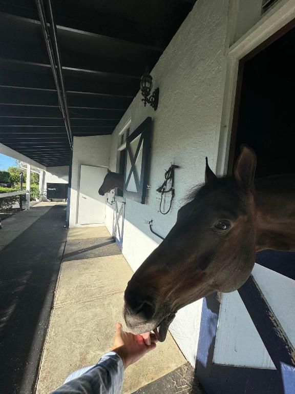 Image 7 of property listing at 13205 Southfields Road, Wellington, FL 33414