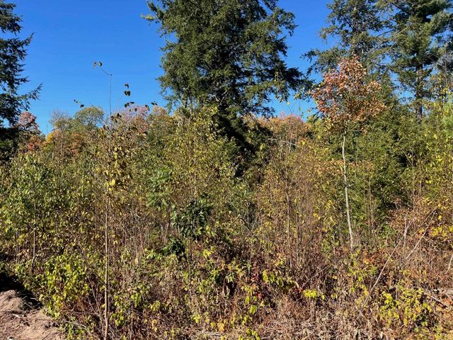 8886 Hemlock Hill Drive, Long Lake Twp, MI 49685