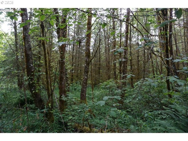 0 Ne Buncombe Hollow Rd Lot 29, Woodland, WA 98674