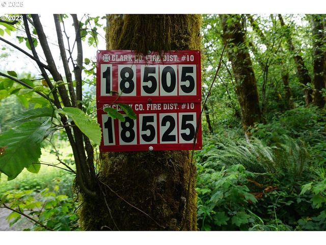 0 Ne Buncombe Hollow Rd Lot 29, Woodland, WA 98674