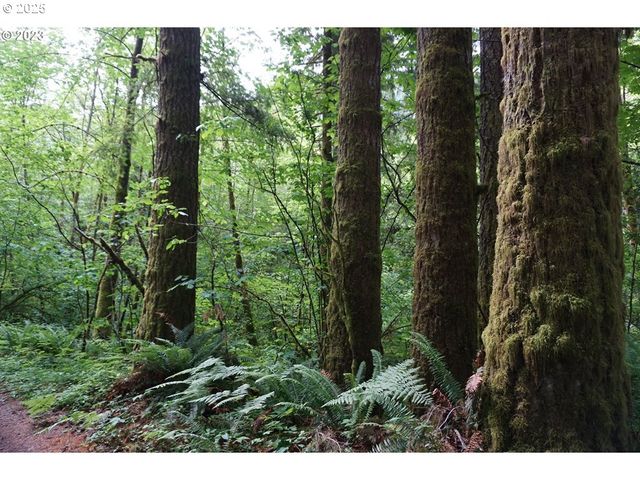 0 Ne Buncombe Hollow Rd Lot 29, Woodland, WA 98674