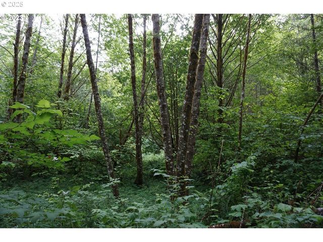 0 Ne Buncombe Hollow Rd Lot 29, Woodland, WA 98674