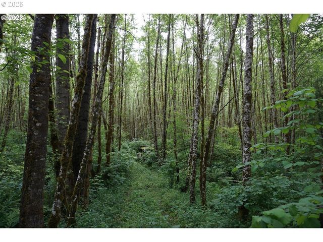 0 Ne Buncombe Hollow Rd Lot 29, Woodland, WA 98674