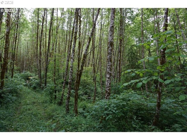 0 Ne Buncombe Hollow Rd Lot 29, Woodland, WA 98674