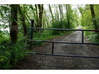 0 Ne Buncombe Hollow Rd Lot 29, Woodland, WA 98674