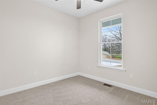 1700 Scenic Drive, Festus, MO 63028