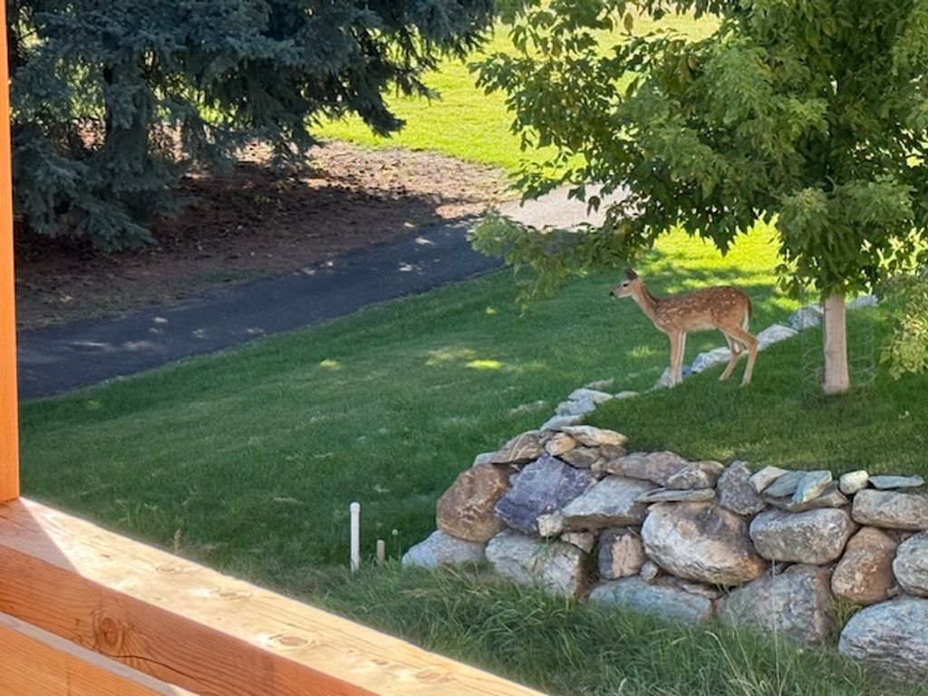 116 Golden Bear Drive, Bigfork, MT 59911 photo 22