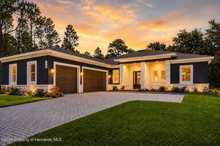 16098 Mellon Road, Weeki Wachee, FL 34614