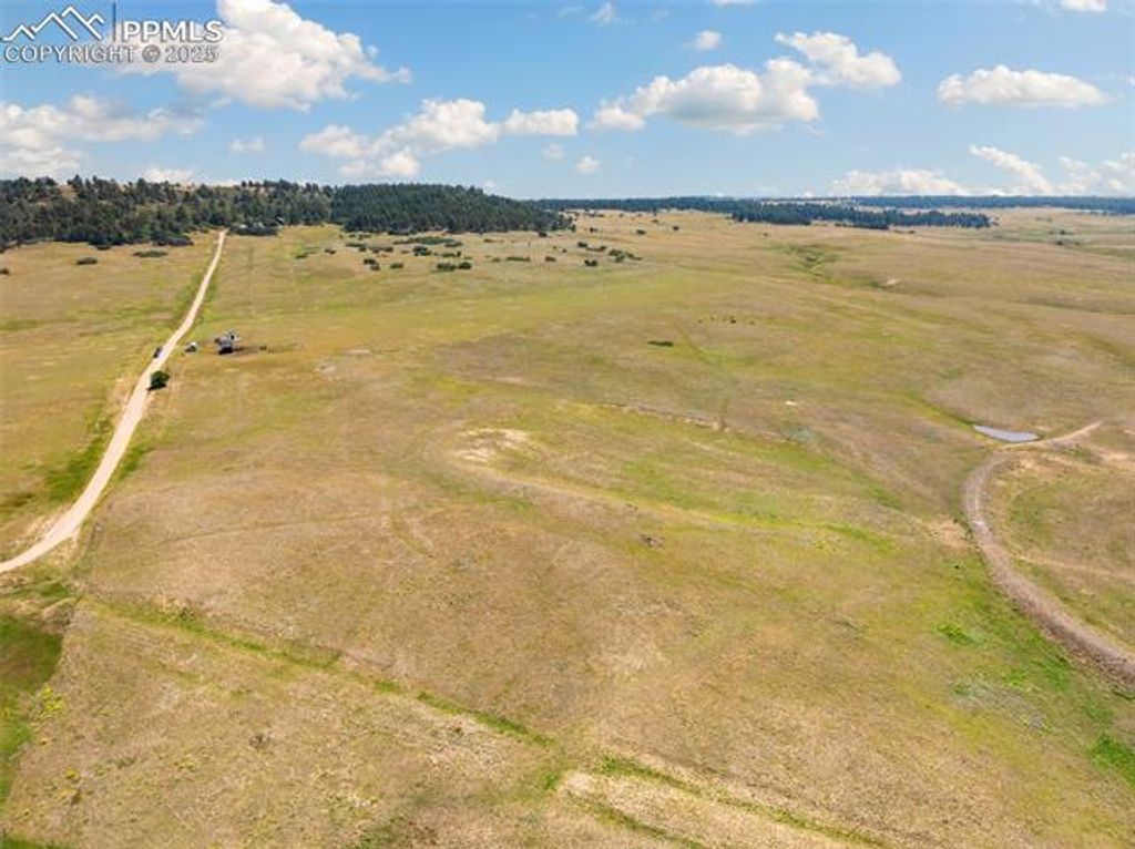 14254 S Highway 83, Larkspur, CO 80118 — photo 5