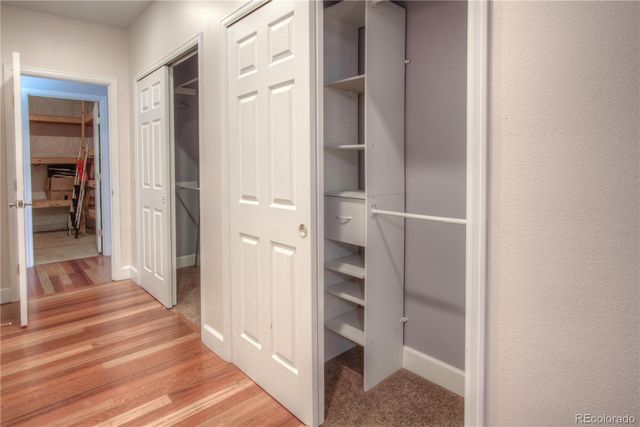 11369 W Park Range Road, Littleton, CO 80127