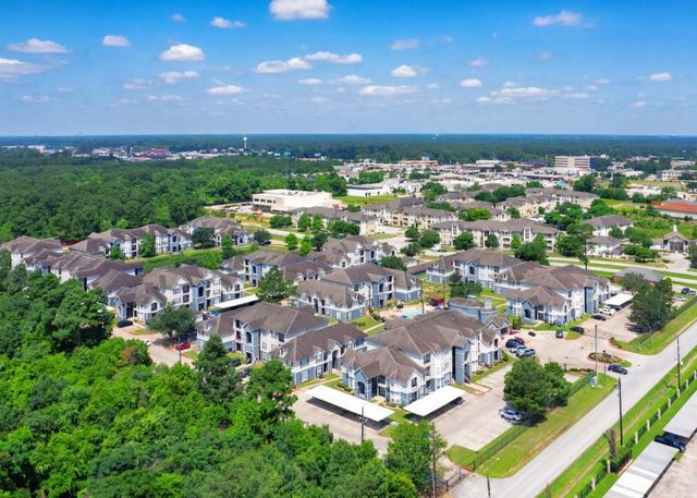 17111 Hafer Road 1336, Houston, TX 77090