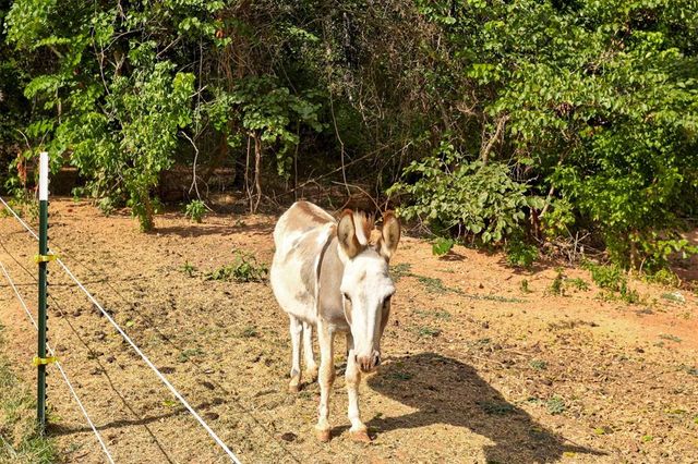 17194 SE 149th Street, Newalla, OK 74857