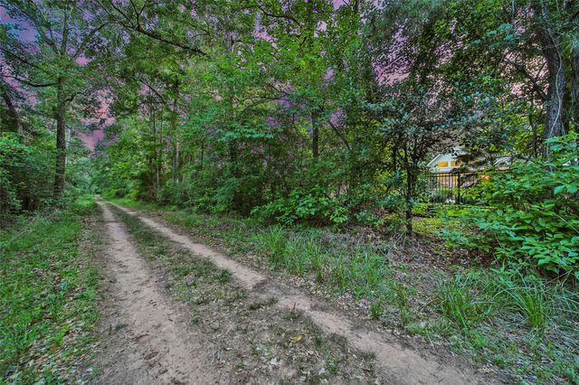 63 Silver Bayou Court, Conroe, TX 77384