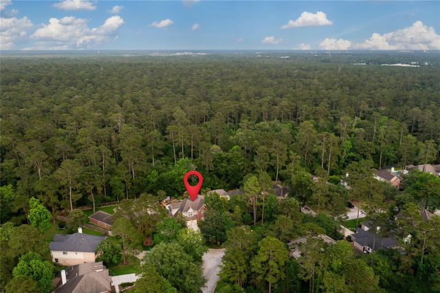 63 Silver Bayou Court, Conroe, TX 77384