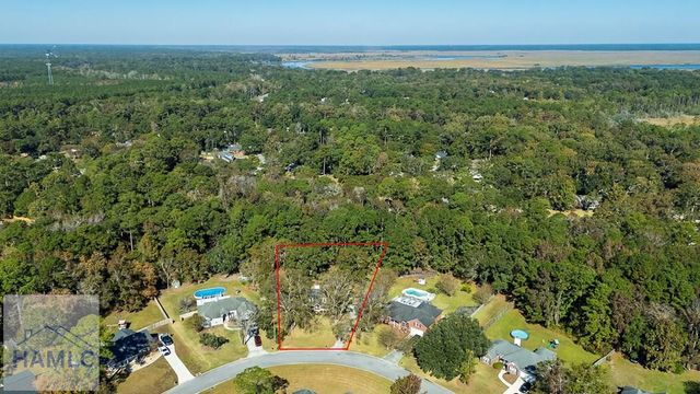 387 Sandhurst Drive, Richmond Hill, GA 31324