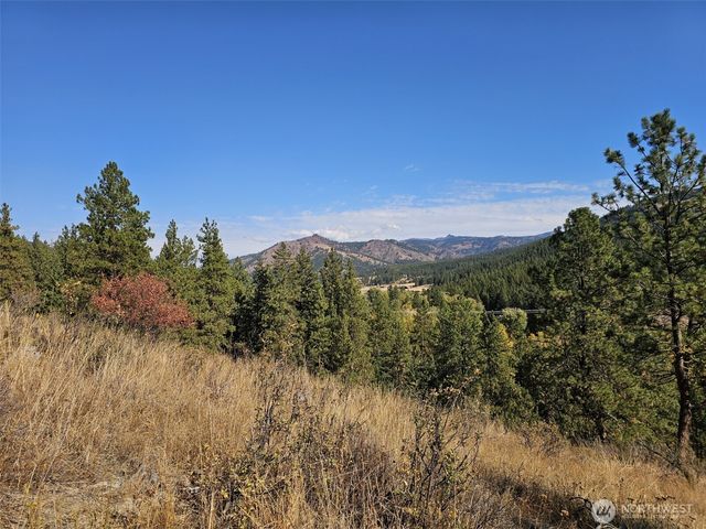 2 D Swauk Pines Road, Cle Elum, WA 98922