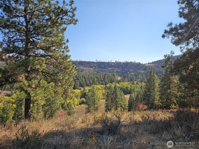 2 D Swauk Pines Road, Cle Elum, WA 98922