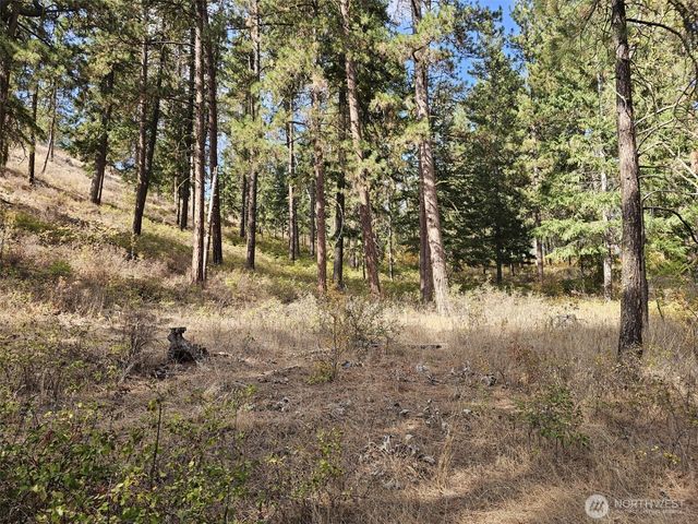 2 D Swauk Pines Road, Cle Elum, WA 98922