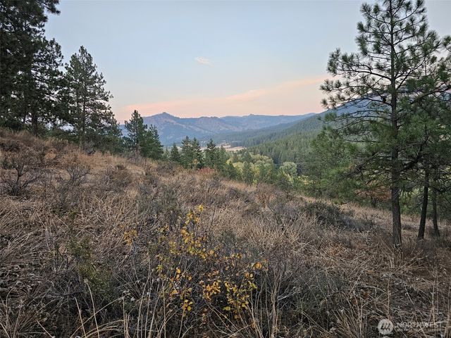 2 D Swauk Pines Road, Cle Elum, WA 98922