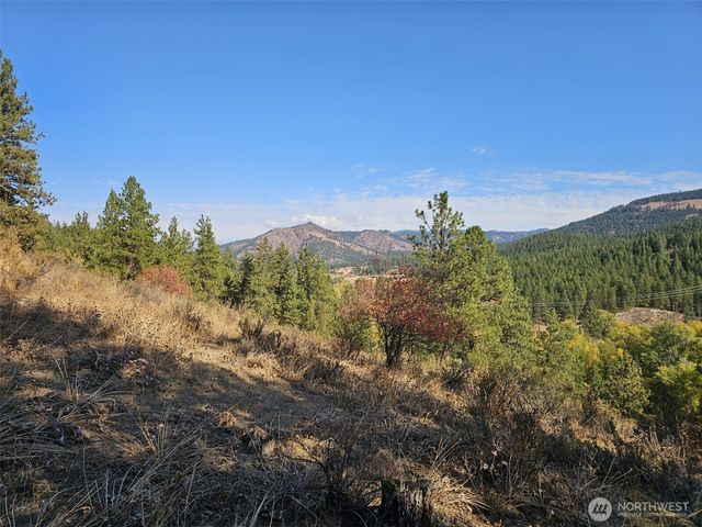 2 D Swauk Pines Road, Cle Elum, WA 98922