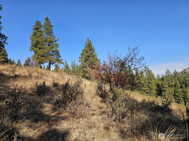 2 D Swauk Pines Road, Cle Elum, WA 98922