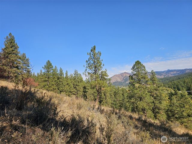 2 D Swauk Pines Road, Cle Elum, WA 98922