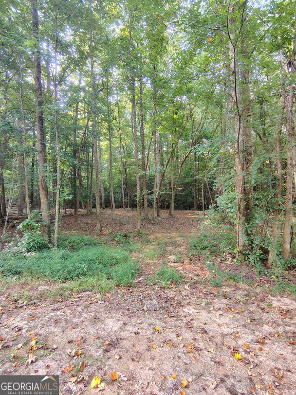 261 Brad Street, Royston, GA 30662 — exterior