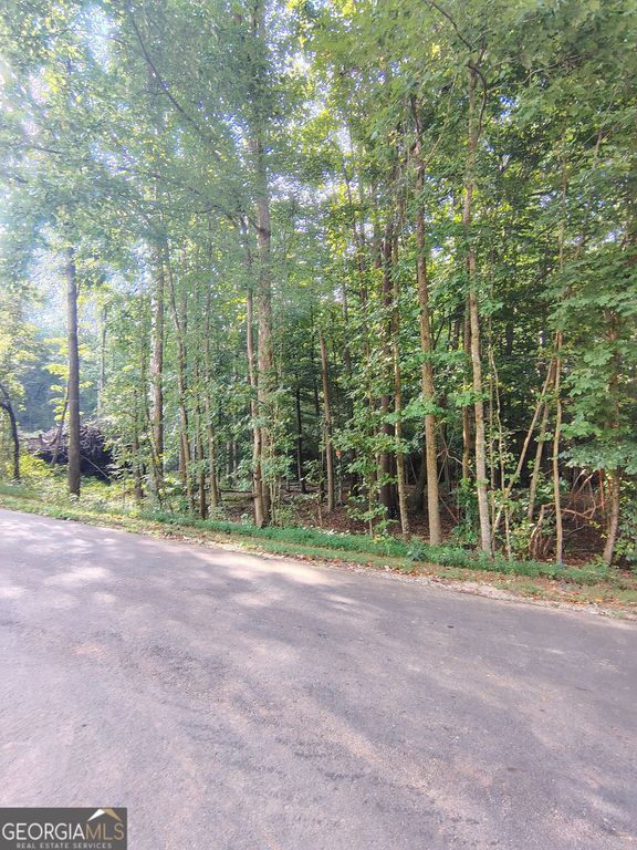 261 Brad Street, Royston, GA 30662 — photo 2