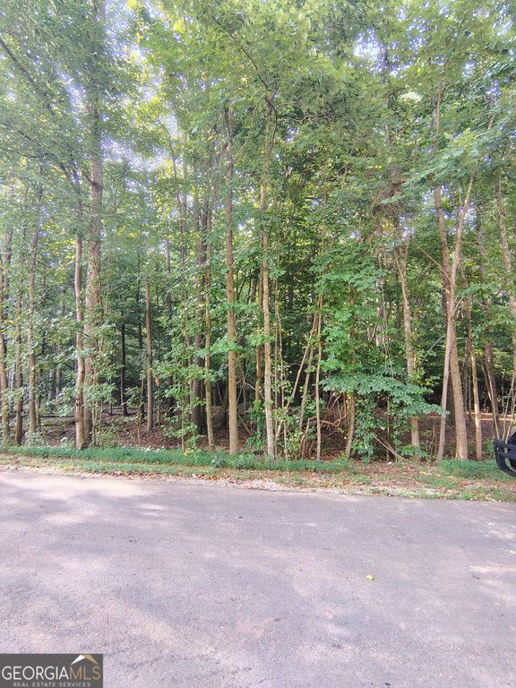 261 Brad Street, Royston, GA 30662 — photo 3