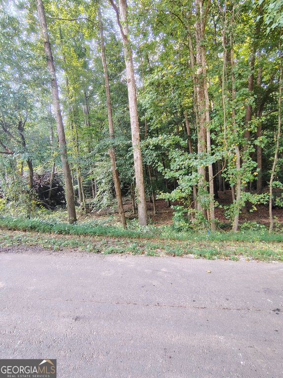 261 Brad Street, Royston, GA 30662 — photo 4