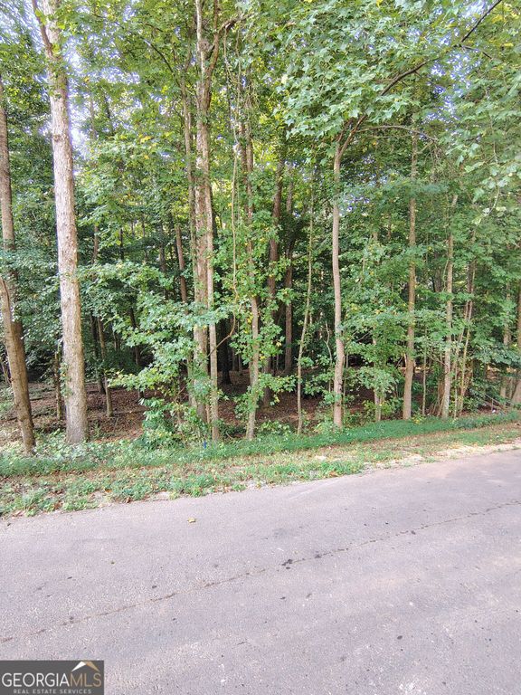 261 Brad Street, Royston, GA 30662 — photo 5