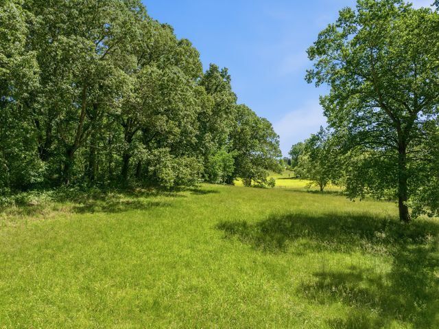 55 Bell Ln, Paris, TN 38242