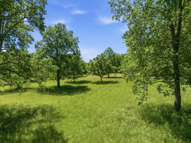 55 Bell Ln, Paris, TN 38242