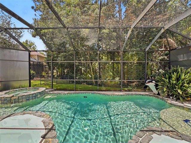 816 RUNNER OAK STREET, Celebration, FL 34747
