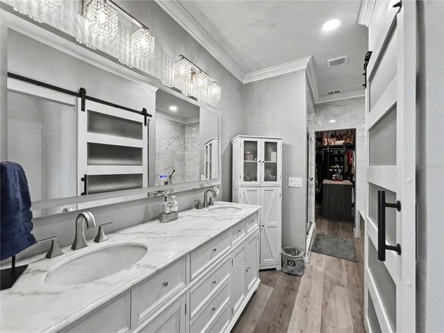 816 RUNNER OAK STREET, Celebration, FL 34747