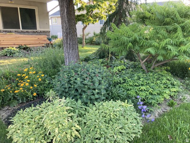 339 E 1900 N, North Ogden, UT 84414