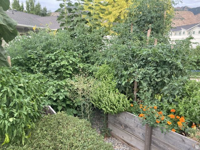 339 E 1900 N, North Ogden, UT 84414