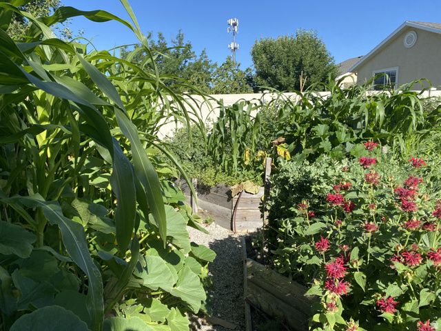339 E 1900 N, North Ogden, UT 84414