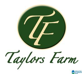 189 TAYLORS FARM DRIVE, Lincoln, AL 35096