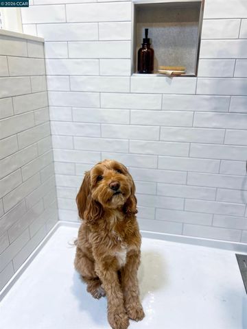 160 Via Del Sol, Walnut Creek, CA 94597