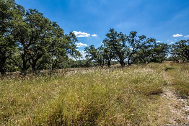 190 Fallen Acorn, Blanco, TX 78606